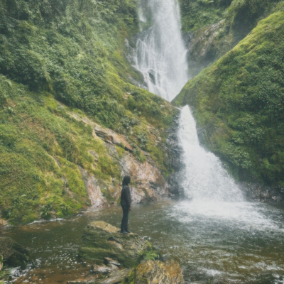 Nyungwe #1, photo 2