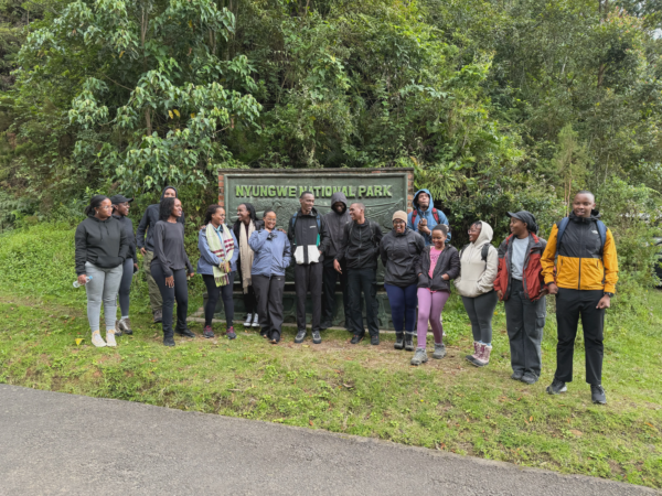 Nyungwe #1