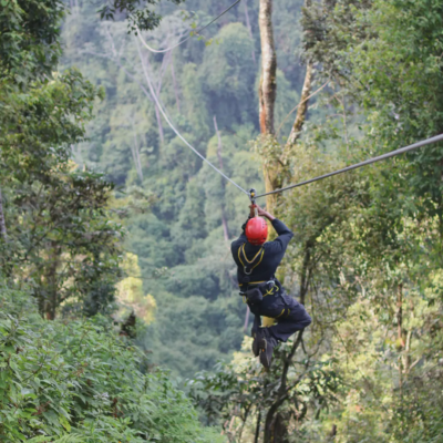 Nyungwe Zipline, photo 2